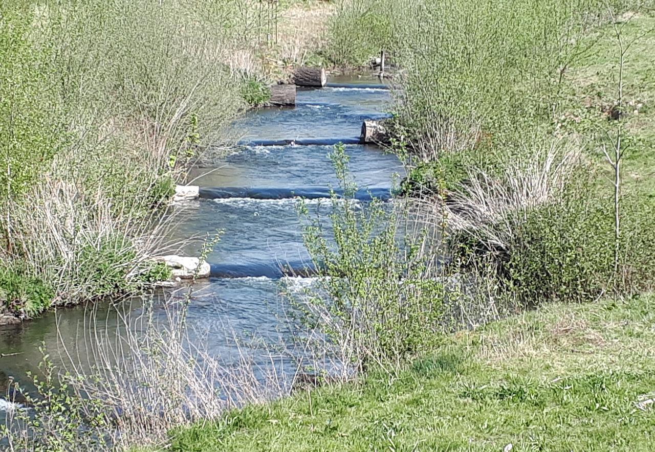 Fischtreppe in Elling's Wiese