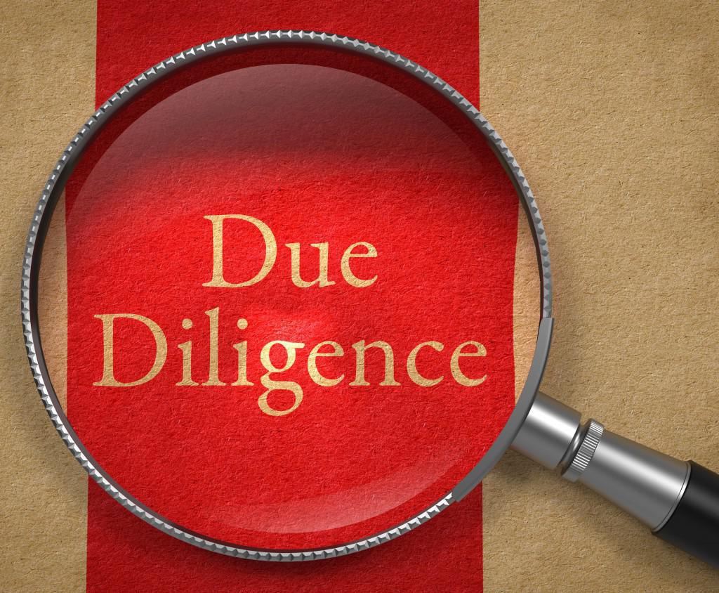 Due Diligence / Legal Examination Due Diligence / Legal Examination