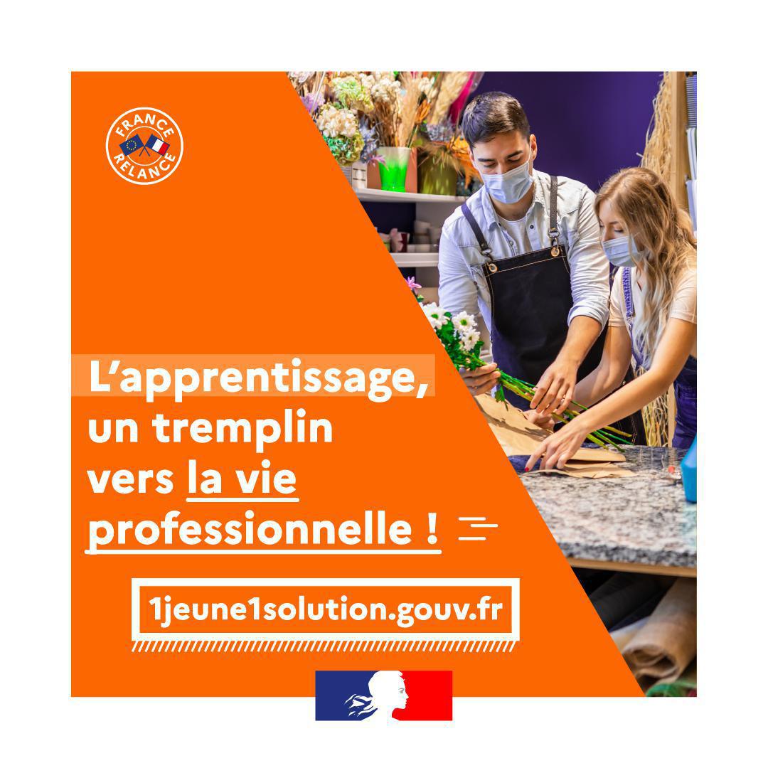 L' Apprentissage | Vidéo L' Apprentissage | Vidéo