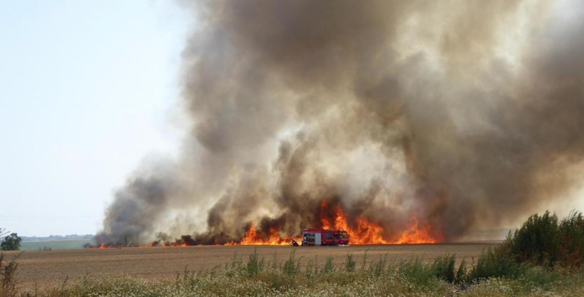 Partage d'information opérationnelle : Les feux de surface agricole Partage d'information opérationnelle : Les feux de surface agricole