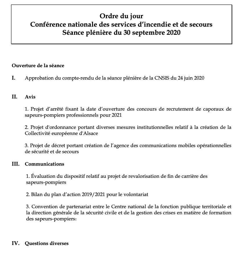 CNSIS séance plénière