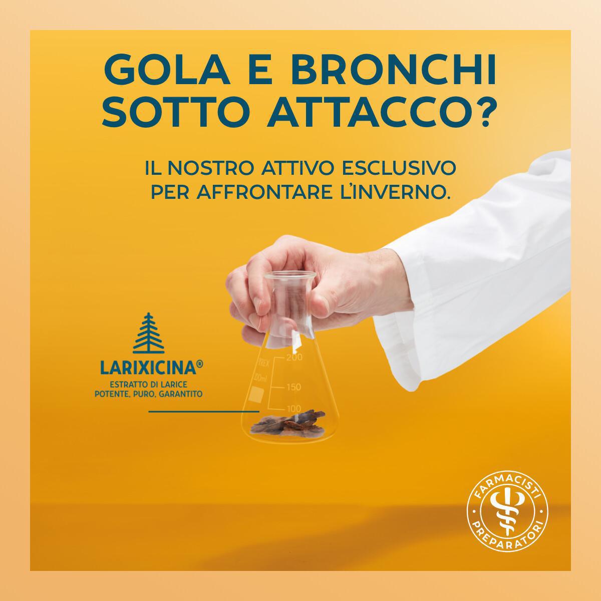 Brevetto Larixicina® - TUTTA LA FORZA DEL LARICE Brevetto Larixicina® - TUTTA LA FORZA DEL LARICE