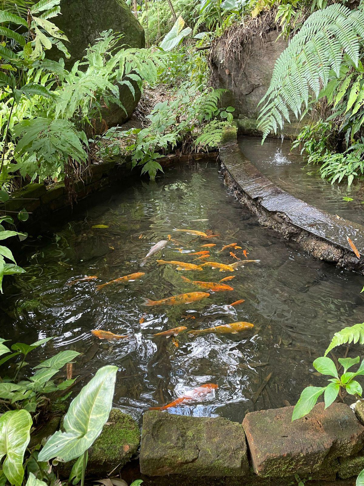 Vilson Carlos de Oliveira Advocacia Vilson Carlos de Oliveira Advocacia