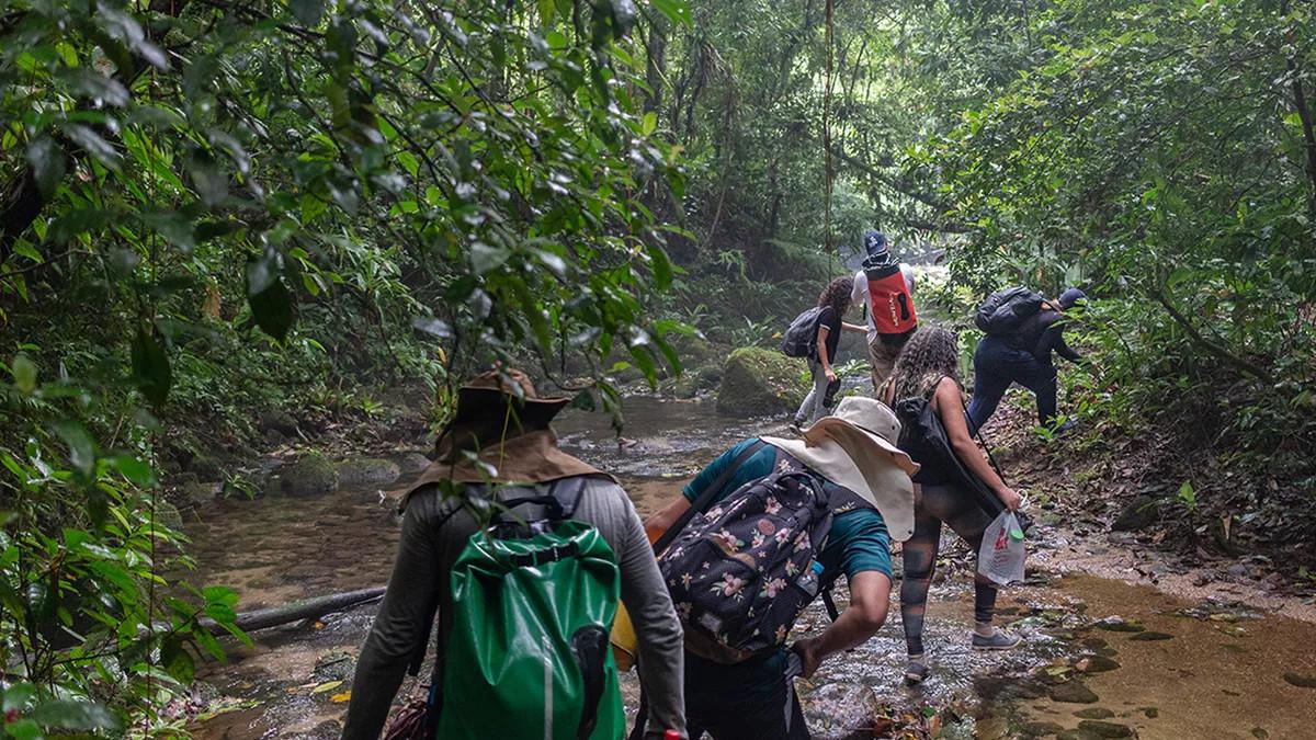 Trilha Cachoeira de Guaratuba