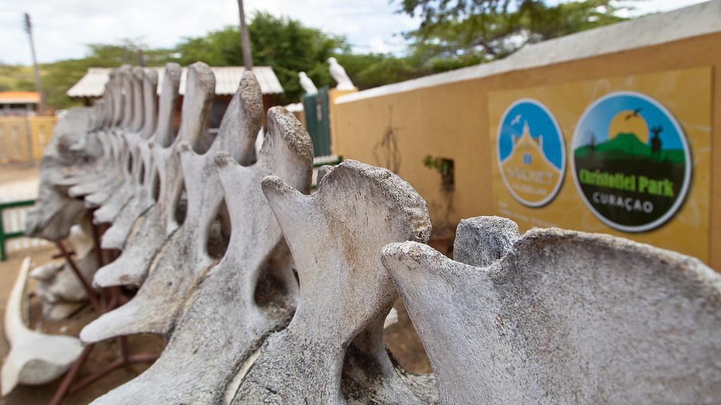 Savonet Museum Savonet Museum