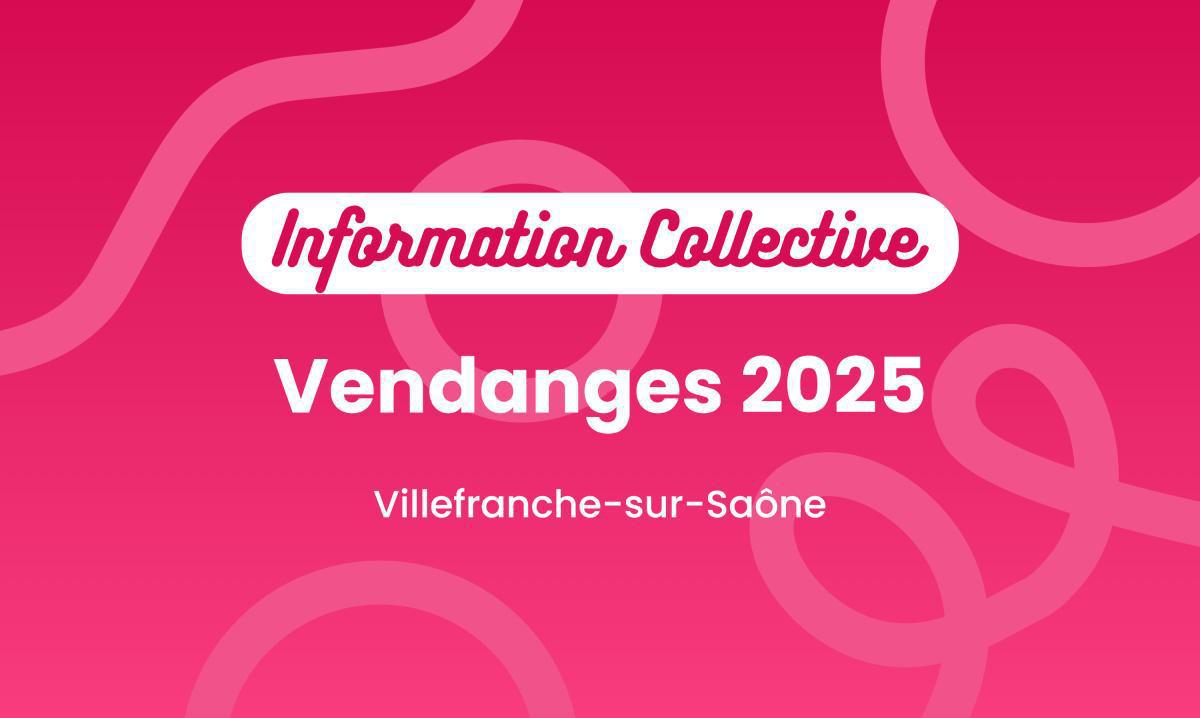 Informations Collectives - Vendanges 2025