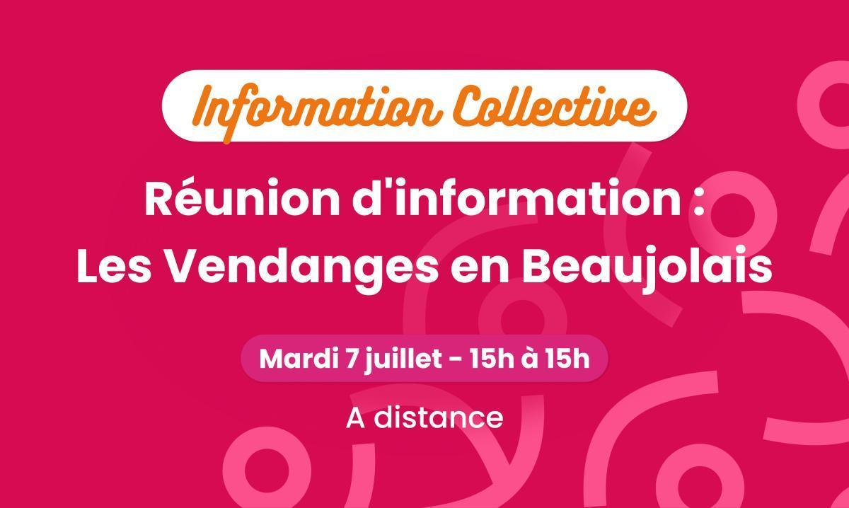 Réunion d'information : Les Vendanges en Beaujolais 🍇