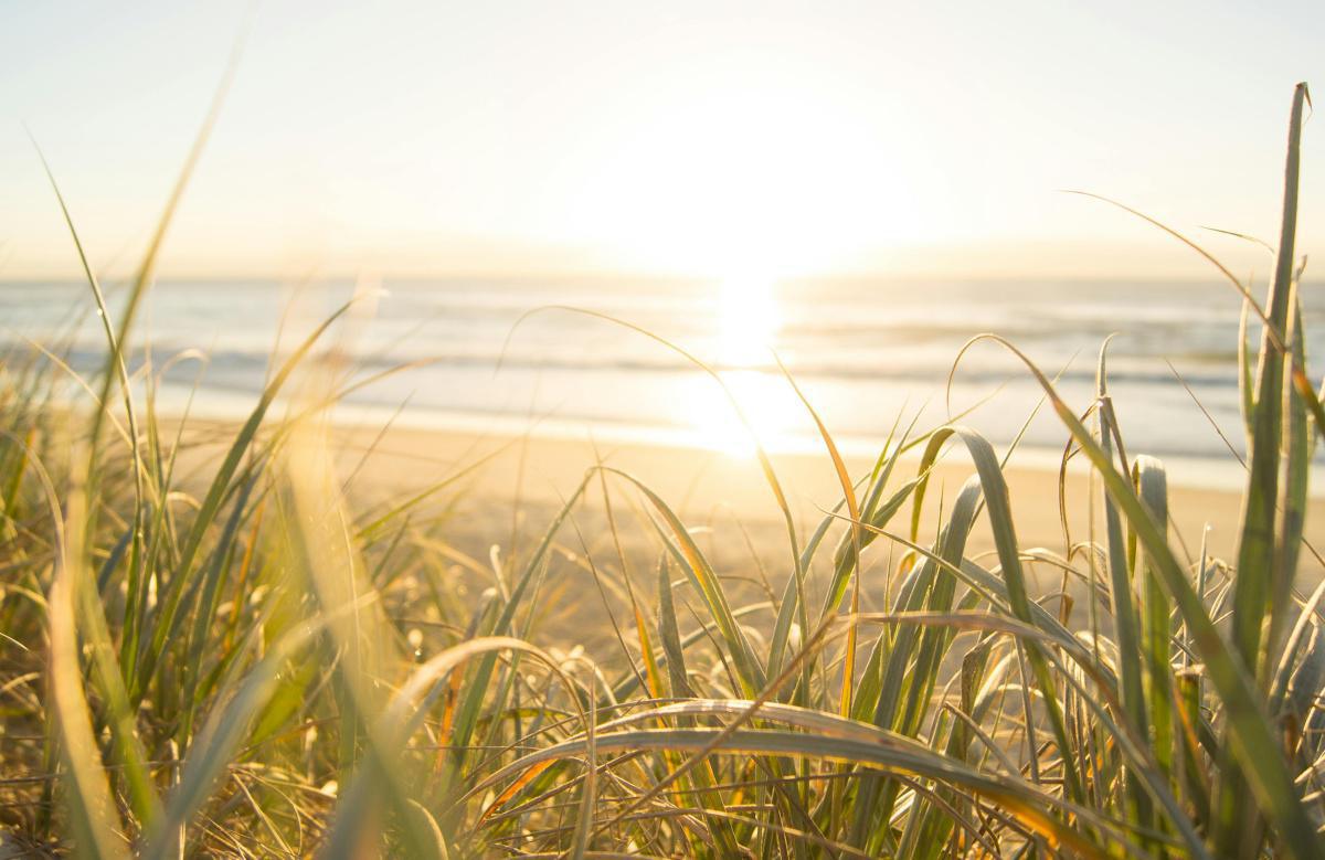 August 2020: 'Valid' Eating Disorders? August 2020: 'Valid' Eating Disorders?