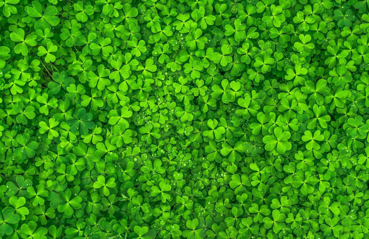 March 2021: #EDAW2021 March 2021: #EDAW2021