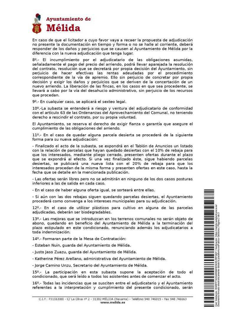 Pliego condiciones subasta