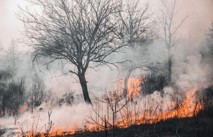 Suspensión de las labores agrícolas