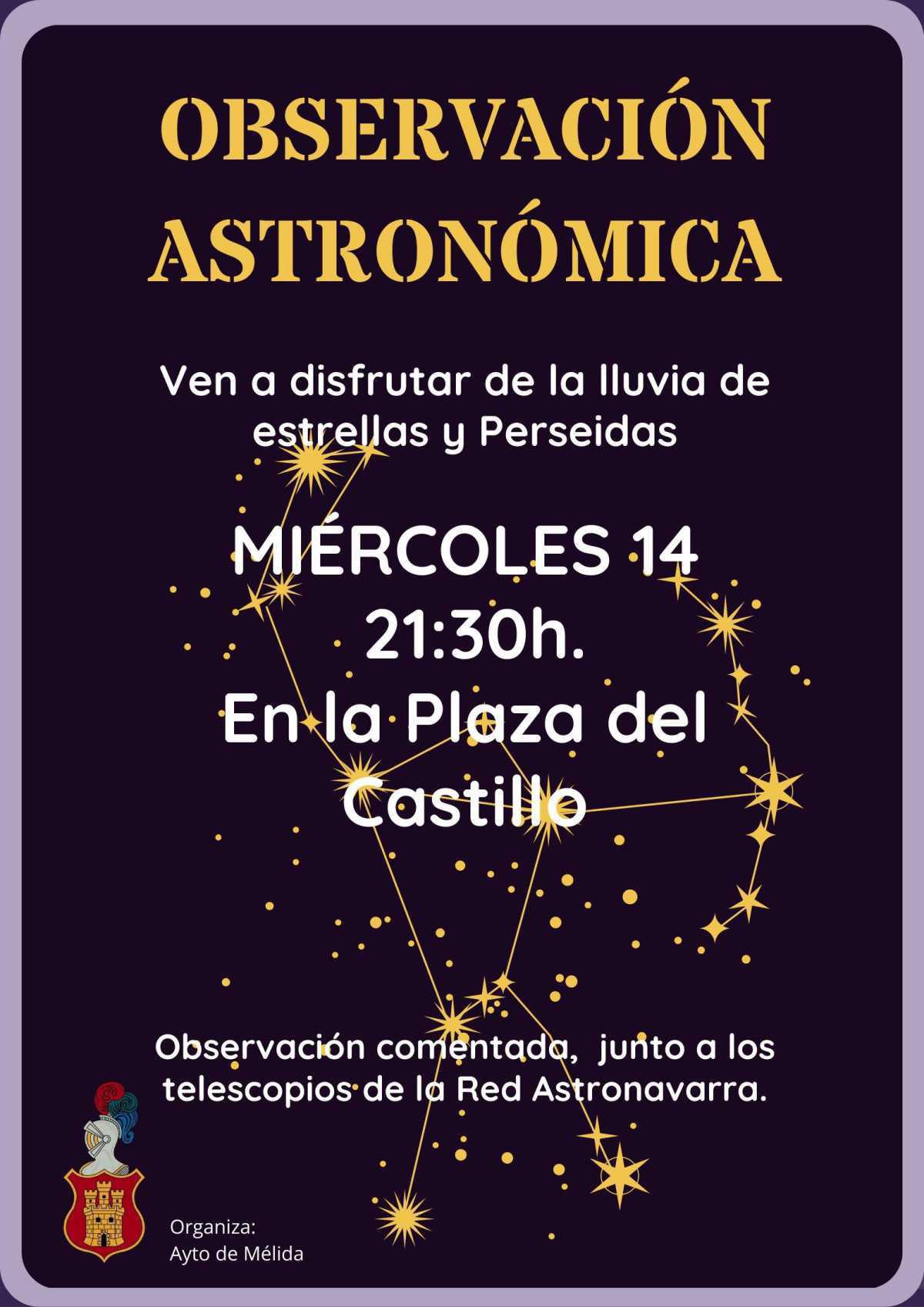 Observación Astronómica de las Perseidas ✨