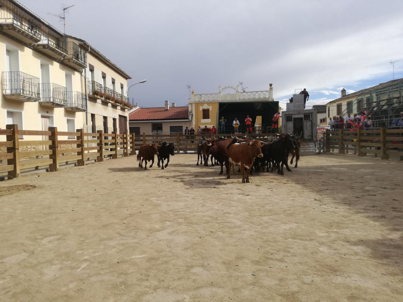 Melida 38