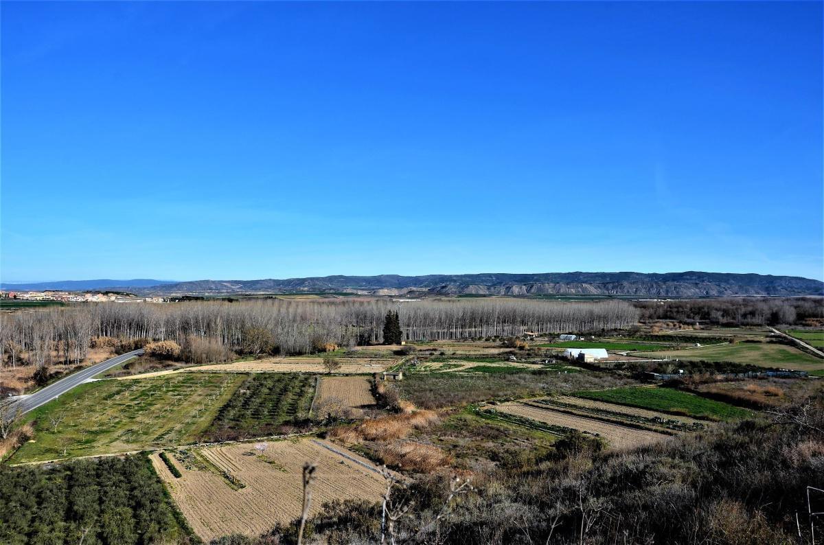Empezará el Otoño