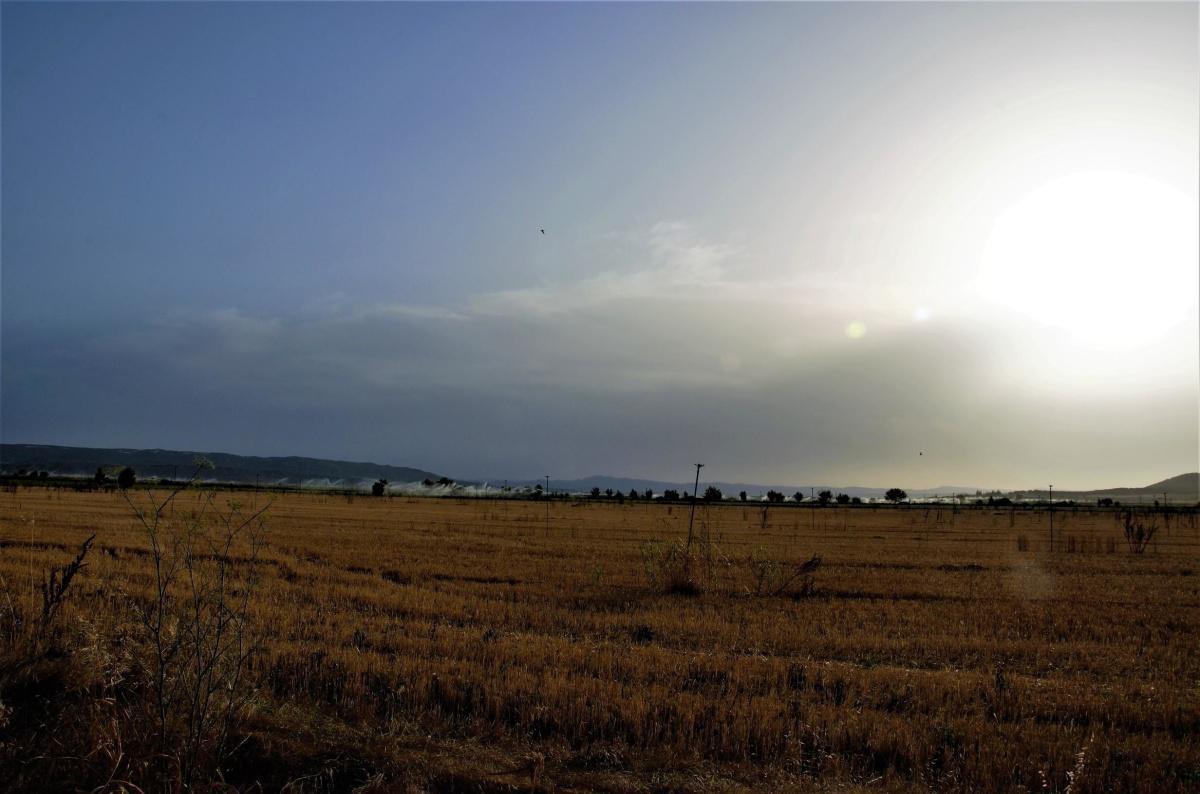 campo 1 img