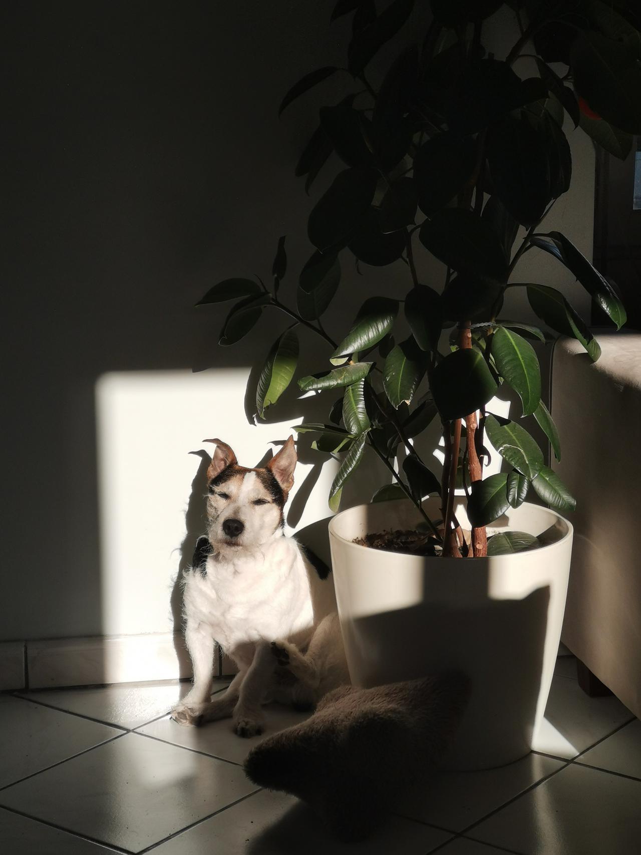 Le moindre rayon de soleil est pour moi ! Na !!