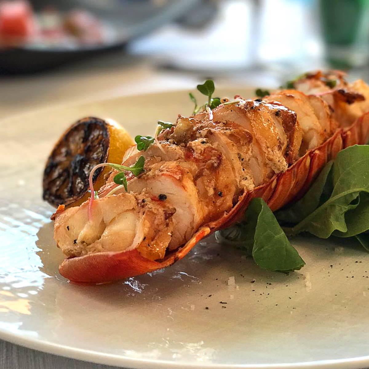 Sagrantino Restaurante / Guadalajara Sagrantino Restaurante / Guadalajara