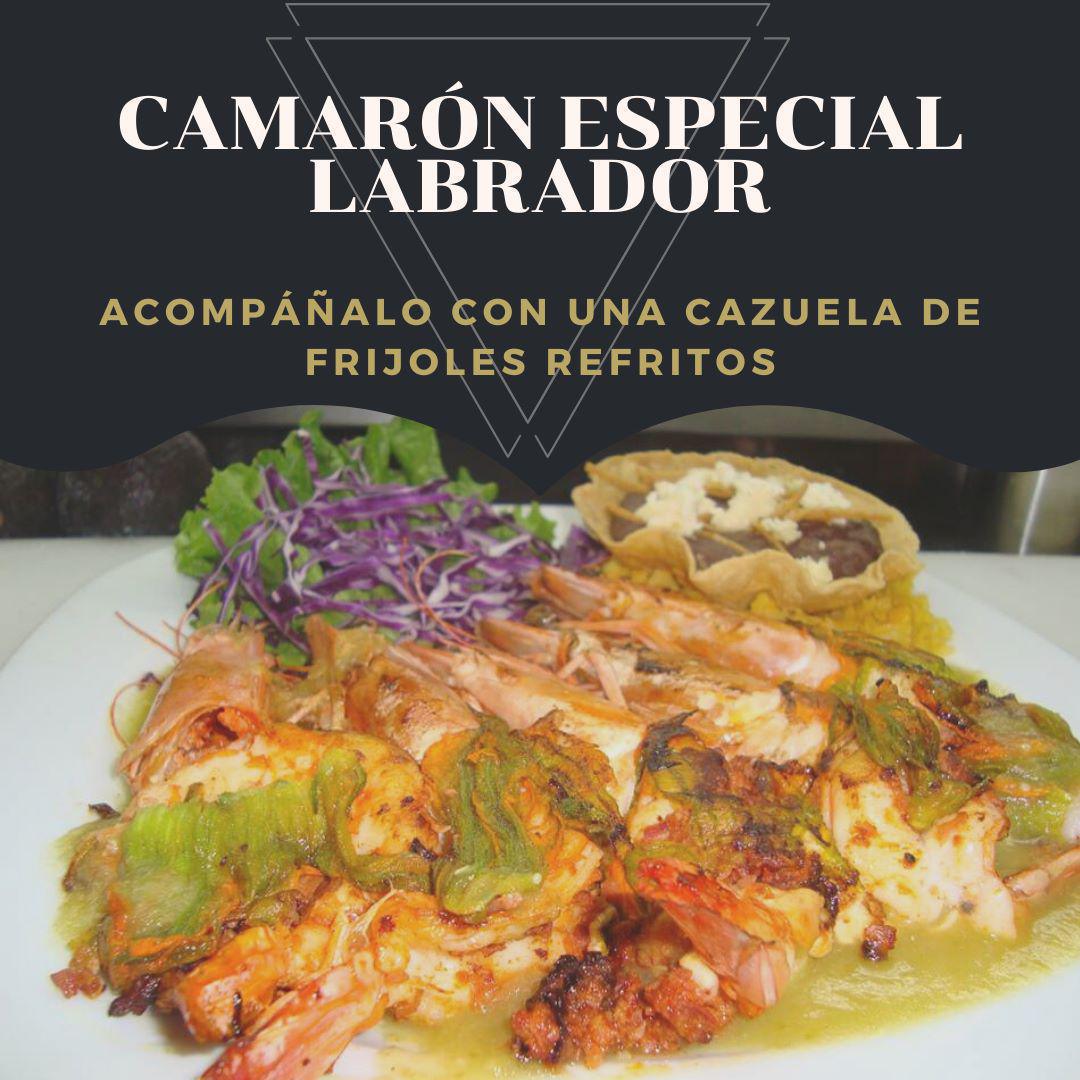 Los Jarochos / Cuautitlán Los Jarochos / Cuautitlán