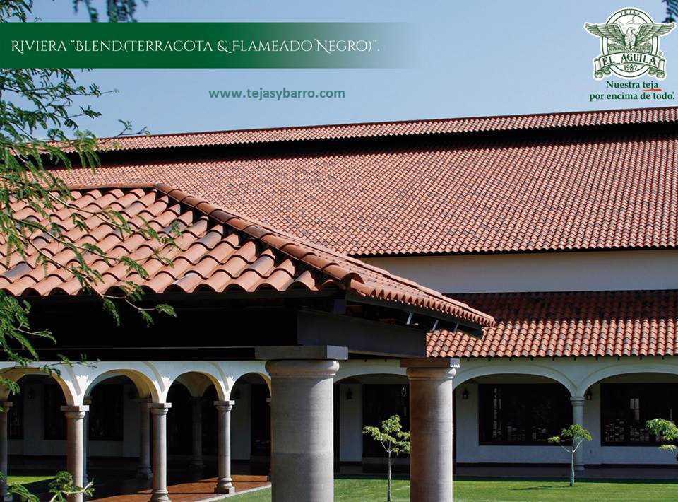 Tejas y Barro de León Tejas y Barro de León