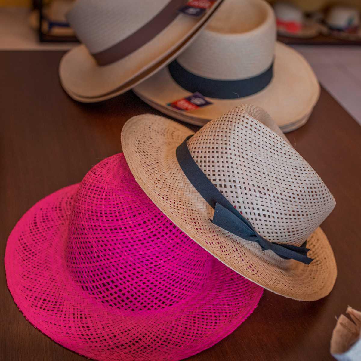 Silvia Wabi - Campeche Silvia Wabi - Campeche