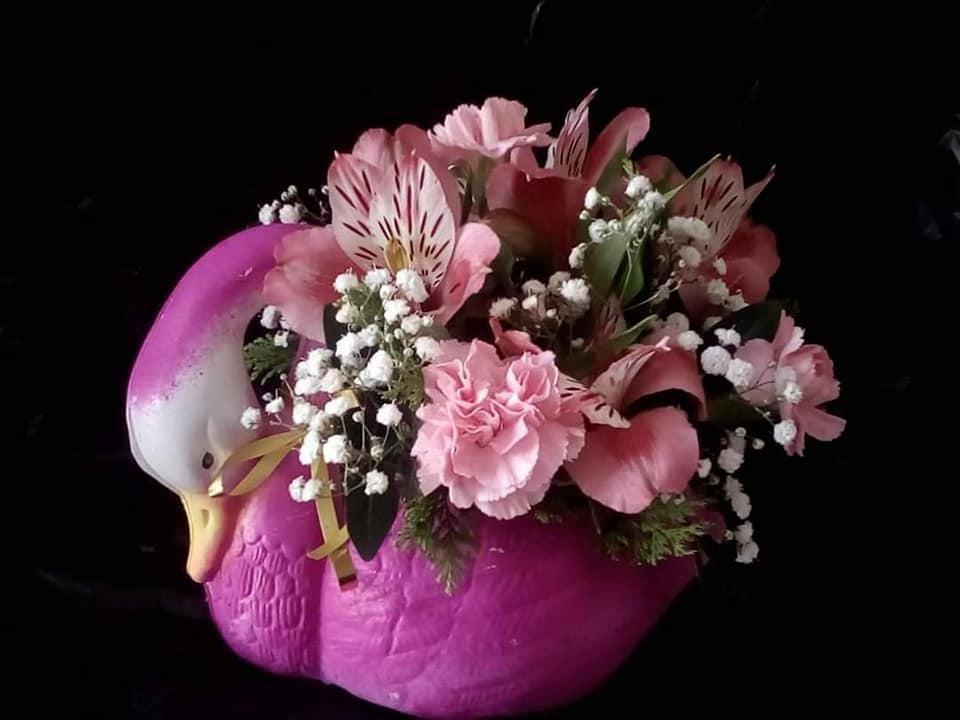 Florería Lirios Campeche Florería Lirios Campeche