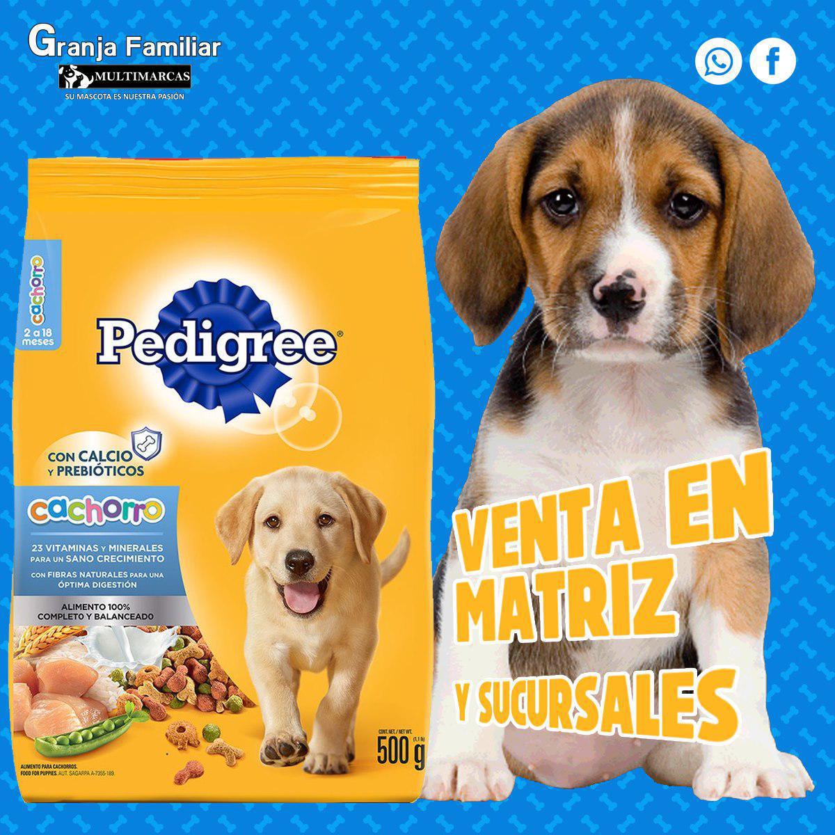 Granja Familiar - Campeche Granja Familiar - Campeche