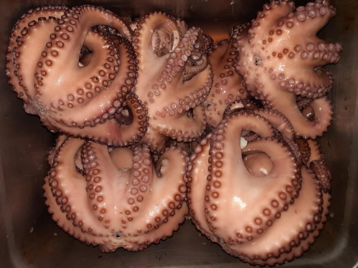 Reina de Mar - Campeche Reina de Mar - Campeche