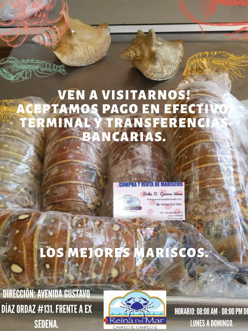 Reina de Mar - Campeche Reina de Mar - Campeche