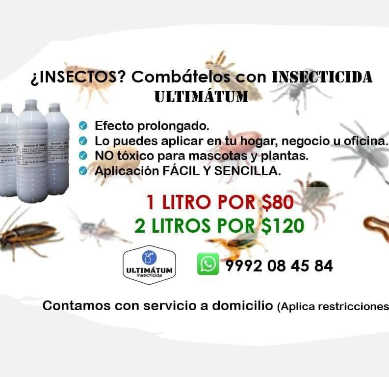 David Armando Mezeta Santos David Armando Mezeta Santos