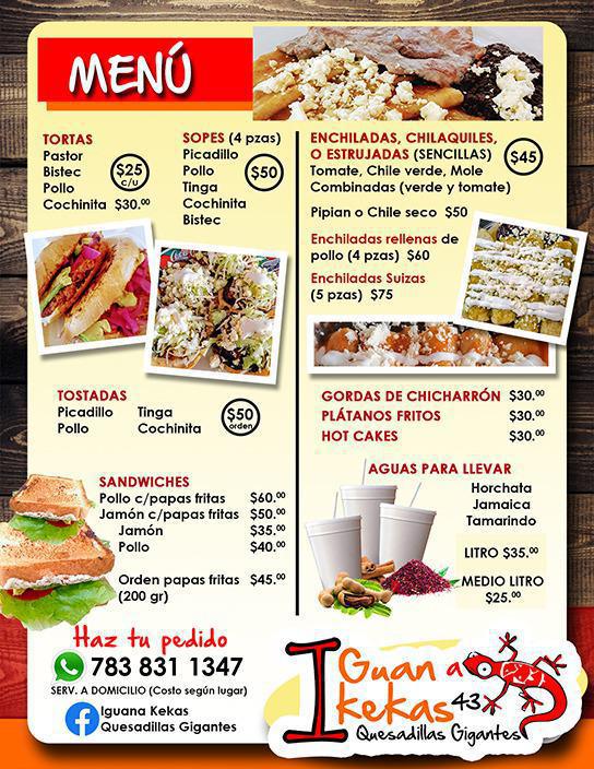 Iguana KeKas Iguana KeKas