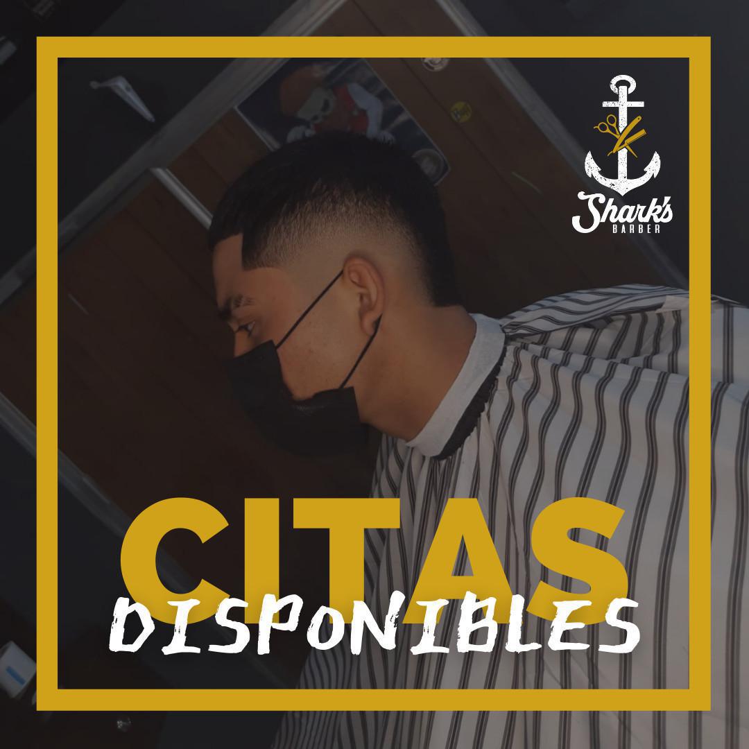 Shark's Barber Shark's Barber