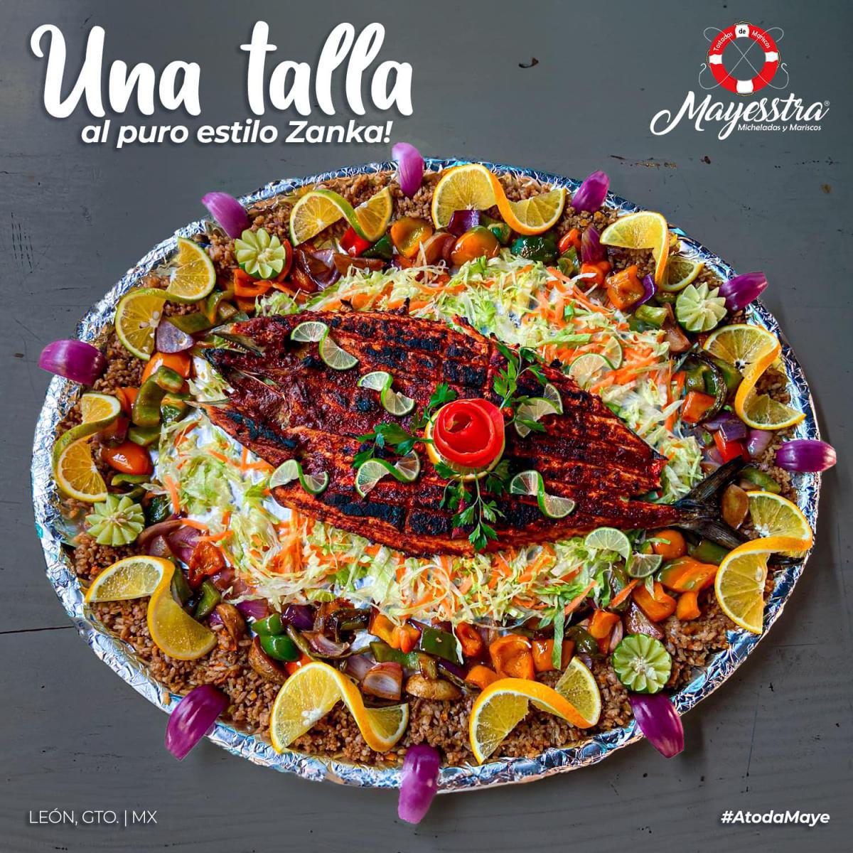 Mayesstra León Mayesstra León