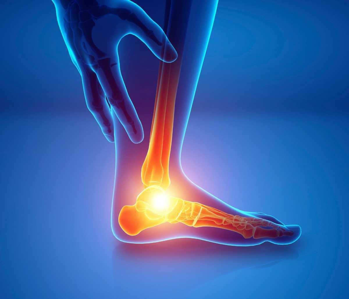 Giornata MOC Giornata MOC