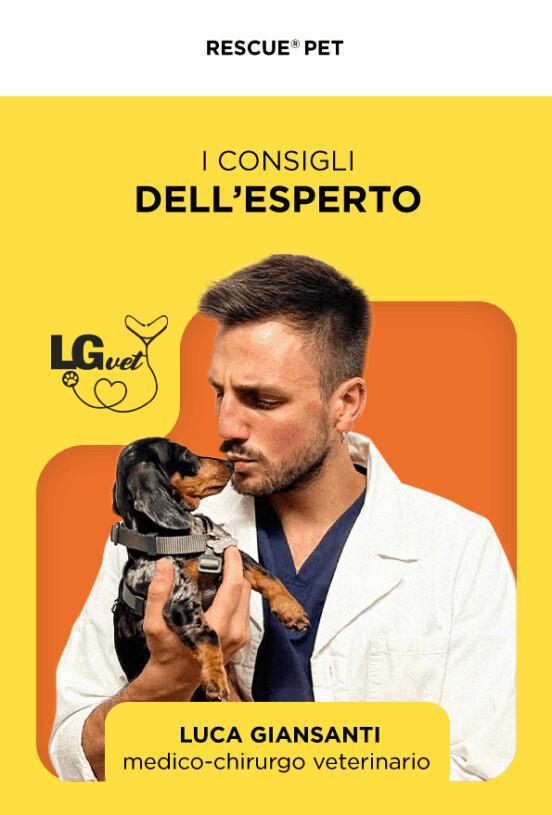 🐾 Rescue® PET e i consigli dell’esperto per le vacanze invernali 🐾 Rescue® PET e i consigli dell’esperto per le vacanze invernali