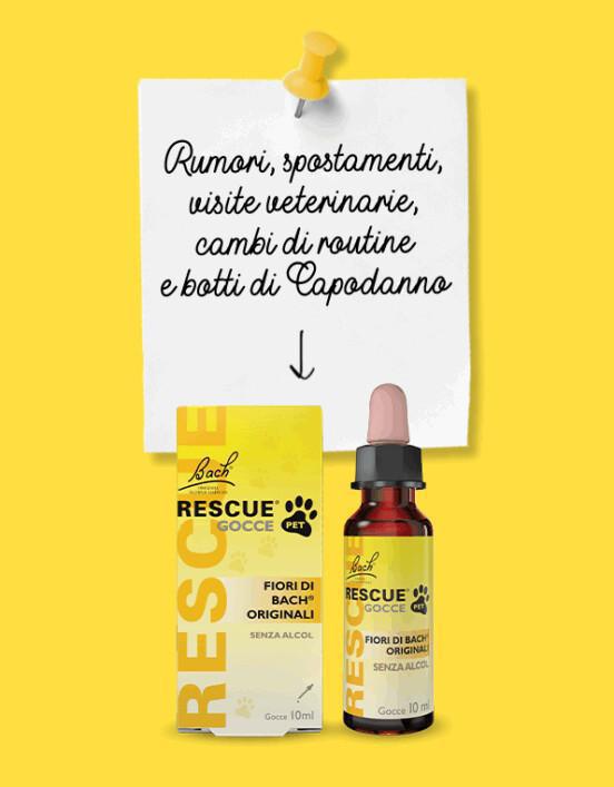 🐾 Rescue® PET e i consigli dell’esperto per le vacanze invernali 🐾 Rescue® PET e i consigli dell’esperto per le vacanze invernali