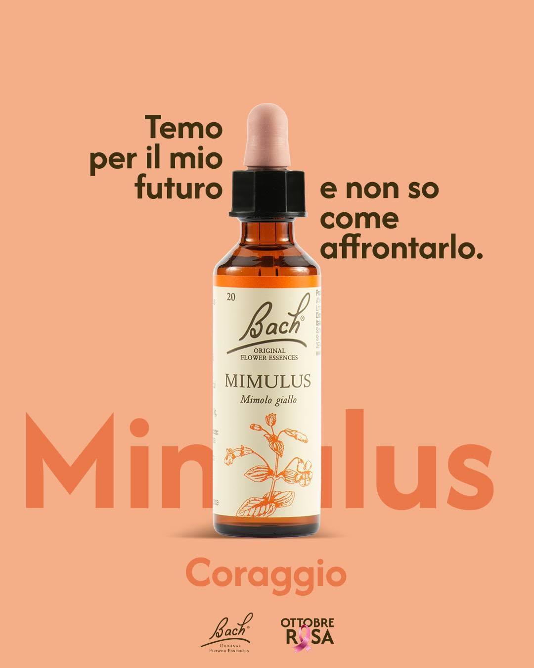 ๐ Ottobre Rosa: Fiori di Bach e benessere emotivo ๐ Ottobre Rosa: Fiori di Bach e benessere emotivo