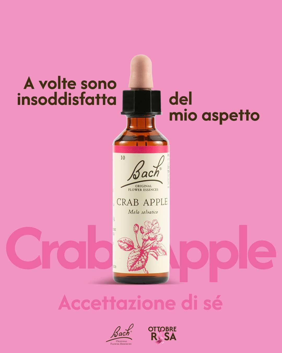 ๐ Ottobre Rosa: Fiori di Bach e benessere emotivo ๐ Ottobre Rosa: Fiori di Bach e benessere emotivo