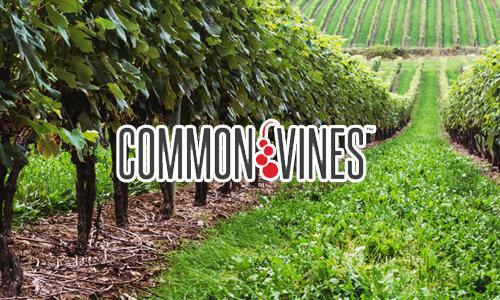 Common Vines Common Vines