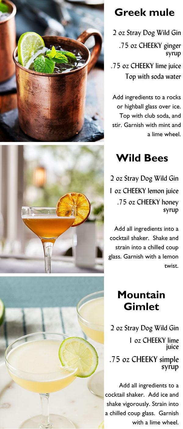 Stray Dog Wild Gin Cocktail Webinar Part 2 Stray Dog Wild Gin Cocktail Webinar Part 2