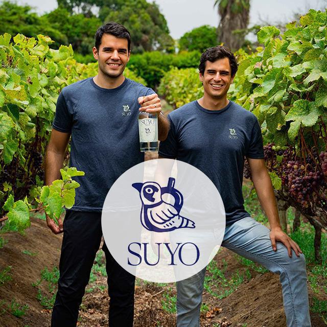 SUYO Pisco