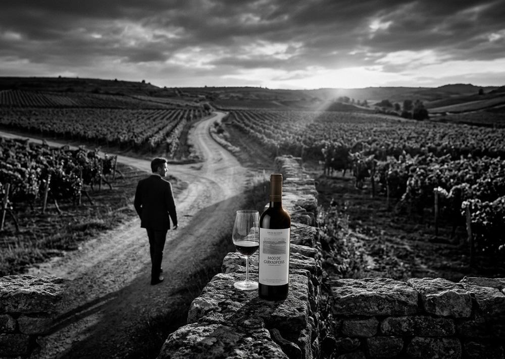 Pago de Carraovejas - Ribera del Duero