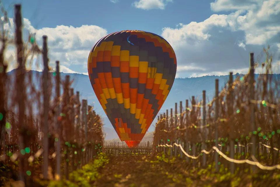 Balloon Over Vineyard