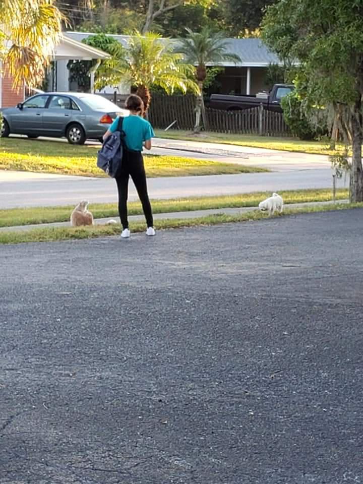 Fernanda Sánchez Murillo,  practicando actos de bondad con los animales 