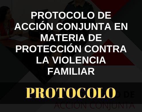 Protocolo de acción conjunta en materia de protección contra la violencia familiar Protocolo de acción conjunta en materia de protección contra la violencia familiar