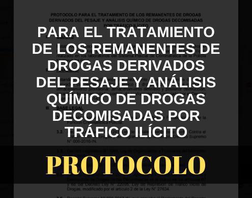Protocolo para el tratamiento de los remanentes de drogas derivados y análisis químico de drogas decomisadas por tráfico ilícito Protocolo para el tratamiento de los remanentes de drogas derivados y análisis químico de drogas decomisadas por tráfico ilícito