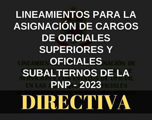 Directiva para asignación de cargos de Oficiales Superiores y Subalternos PNP Directiva para asignación de cargos de Oficiales Superiores y Subalternos PNP
