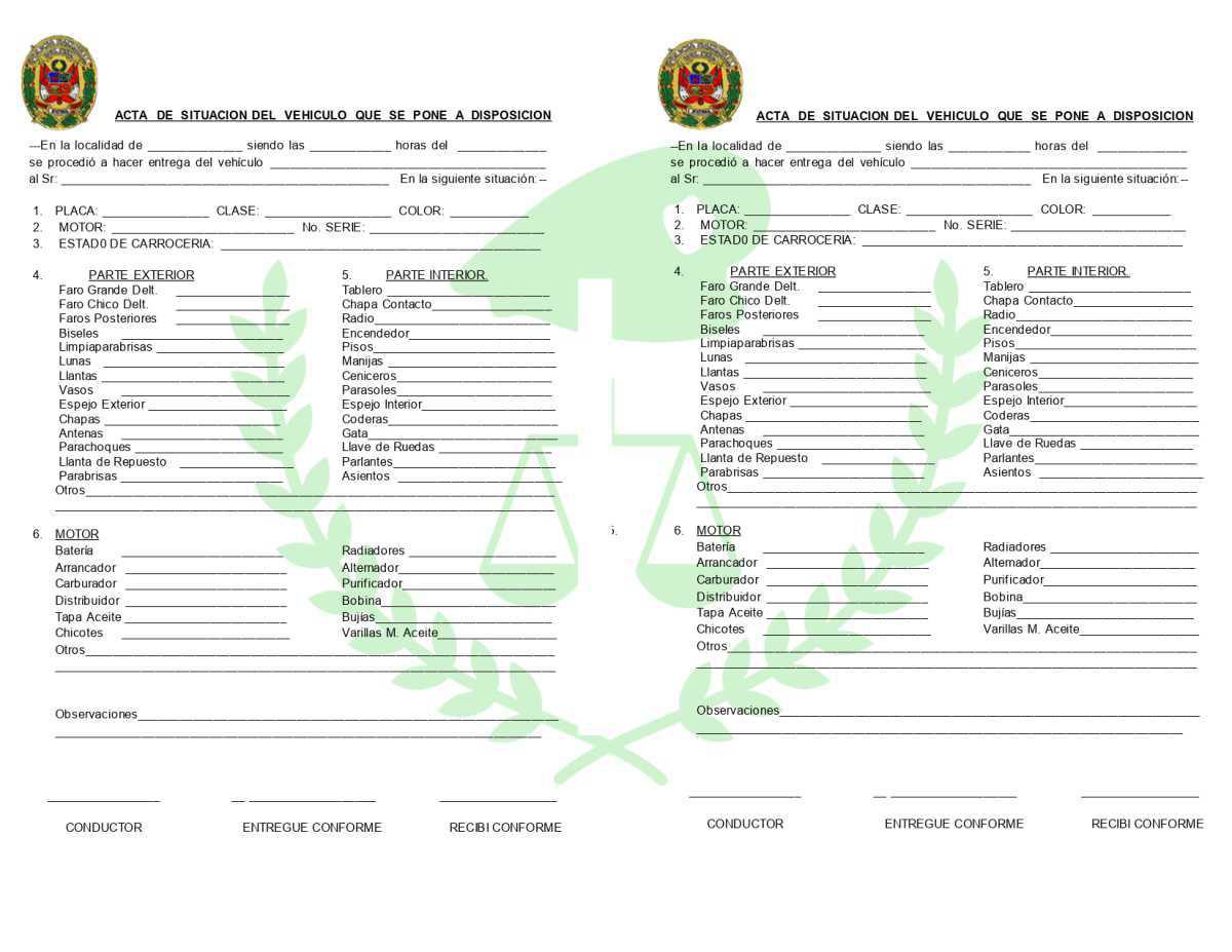 Acta de Situación Vehiculo Mayor