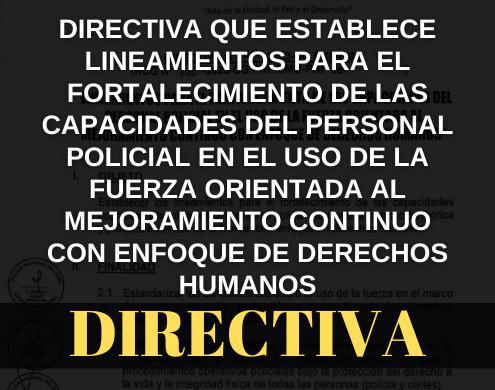 Directiva que establece lineamientos para el fortalecimiento de las capacidades del personal policial en el uso de la fuerza orientada al mejoramiento continuo con enfoque de derechos humanos