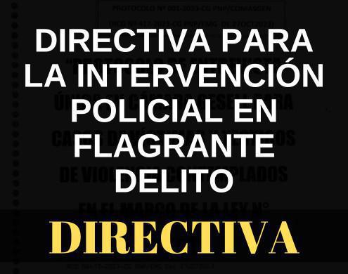 Directiva para la Intervención Policial en Flagrante Delito Directiva para la Intervención Policial en Flagrante Delito
