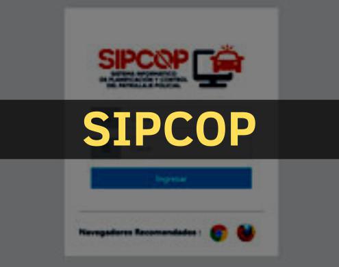 Sistema Informático de Planificación y Control del Patrullaje Policial